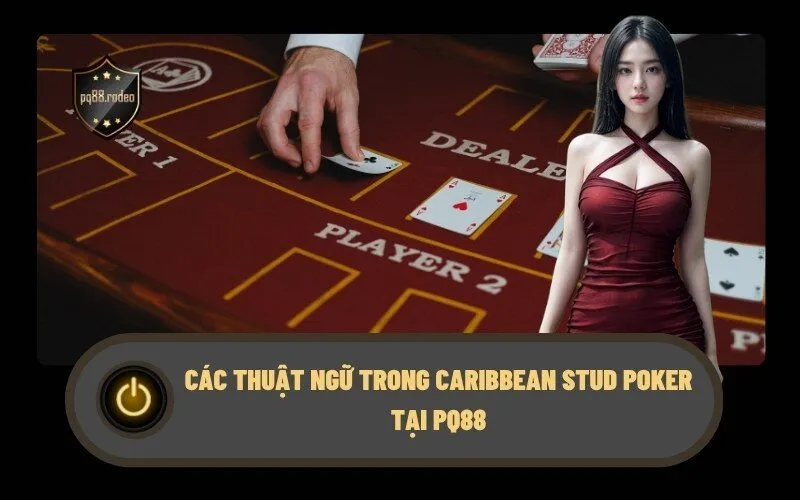 Các thuật ngữ trong Caribbean Stud Poker Tại PQ88