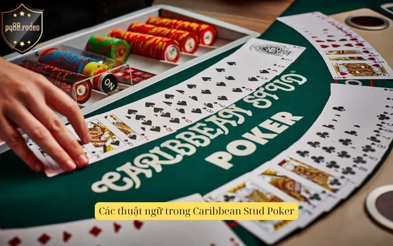 Các thuật ngữ trong Caribbean Stud Poker