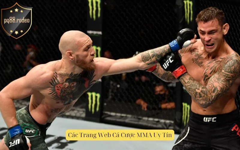Các Trang Web Cá Cược MMA Uy Tín