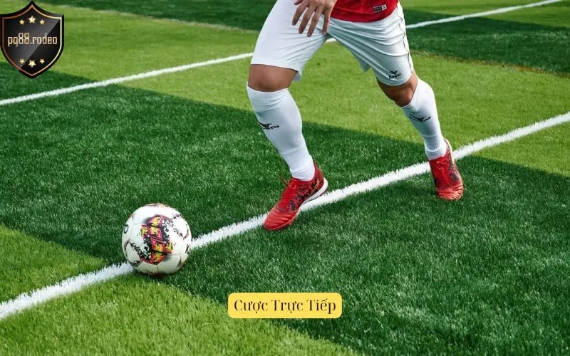 Cược Trực Tiếp