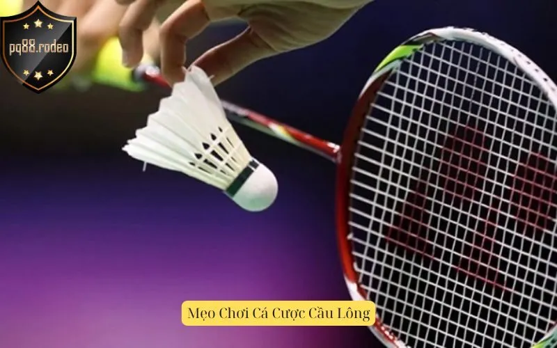 Mẹo Chơi Cá Cược Cầu Lông