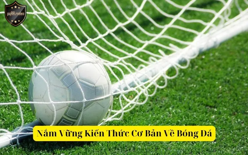 Nắm Vững Kiến Thức Cơ Bản Về Bóng Đá