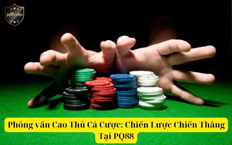 Phỏng vấn Cao Thủ Cá Cược Chiến Lược Chiến Thắng Tại PQ88