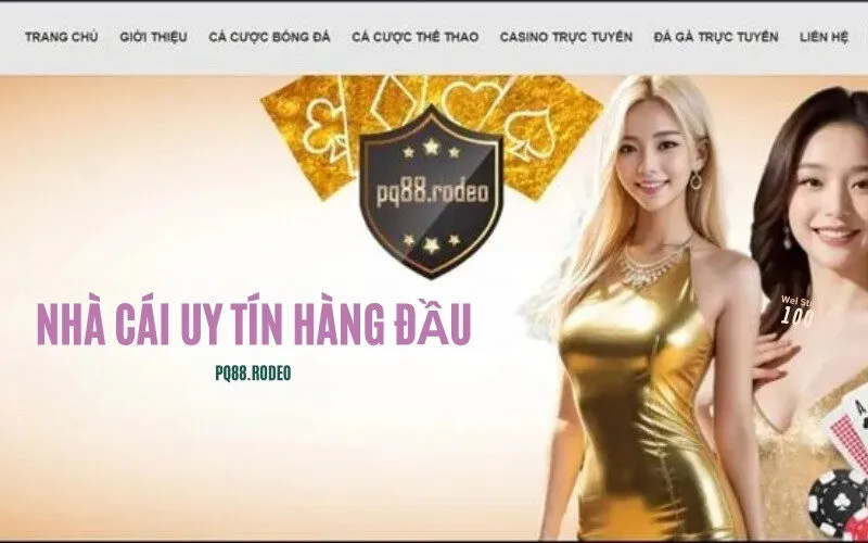 Giới Thiệu PQ88 Nhà cái uy tín hàng đầu